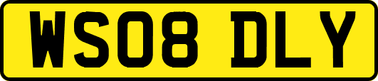 WS08DLY