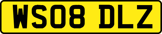 WS08DLZ