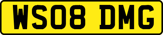 WS08DMG