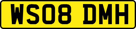 WS08DMH
