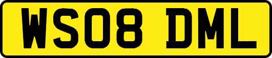 WS08DML