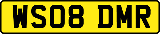 WS08DMR