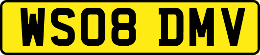 WS08DMV