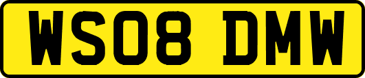 WS08DMW