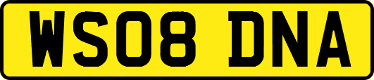 WS08DNA