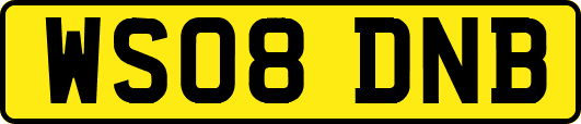 WS08DNB