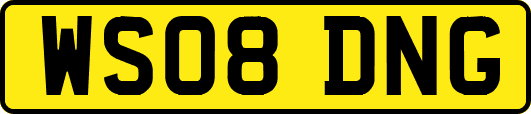WS08DNG