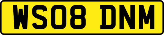 WS08DNM