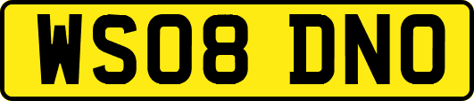 WS08DNO