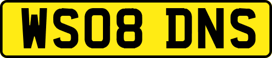 WS08DNS