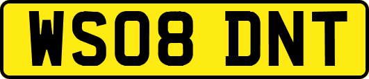WS08DNT