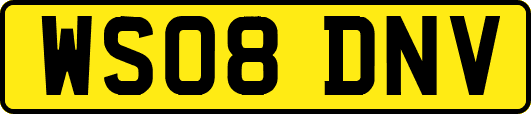 WS08DNV