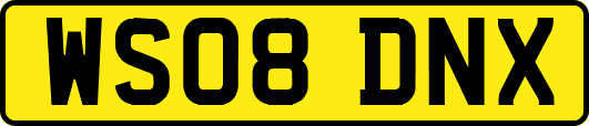 WS08DNX