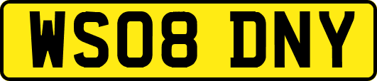 WS08DNY