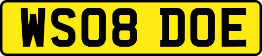 WS08DOE