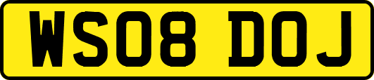 WS08DOJ
