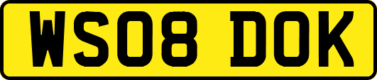 WS08DOK