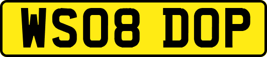 WS08DOP