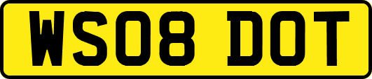 WS08DOT