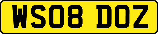 WS08DOZ