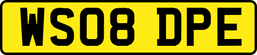 WS08DPE