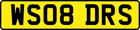 WS08DRS