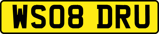 WS08DRU