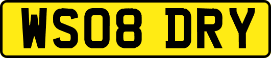 WS08DRY