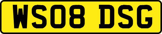 WS08DSG