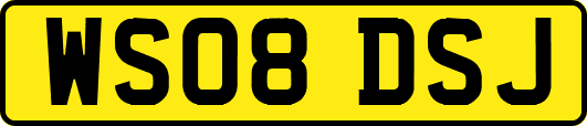 WS08DSJ