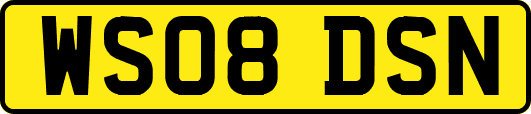 WS08DSN
