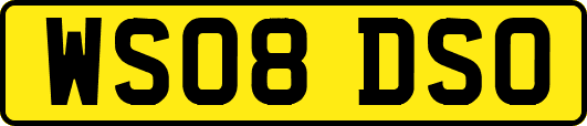WS08DSO