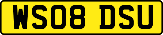 WS08DSU