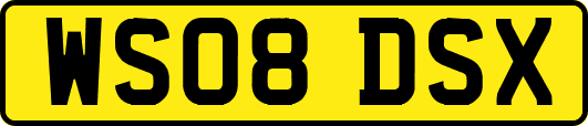 WS08DSX