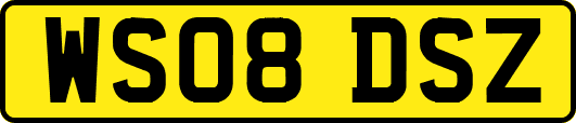 WS08DSZ