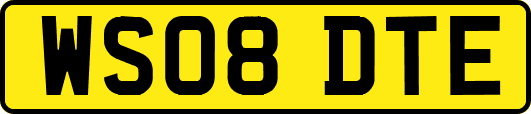 WS08DTE