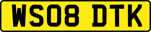 WS08DTK