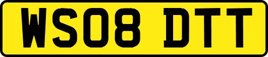 WS08DTT
