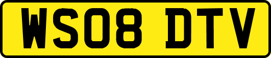 WS08DTV