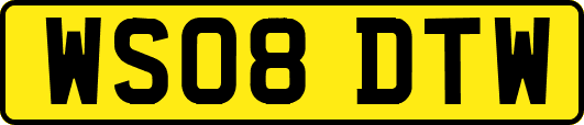 WS08DTW