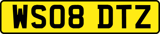 WS08DTZ