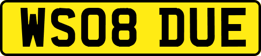 WS08DUE