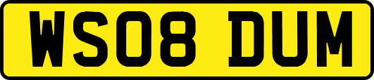 WS08DUM