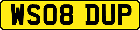 WS08DUP