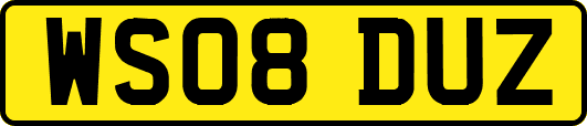 WS08DUZ