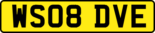 WS08DVE