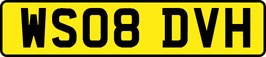 WS08DVH