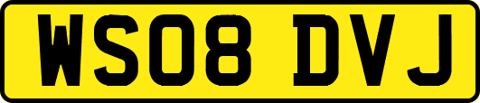 WS08DVJ