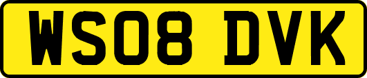 WS08DVK