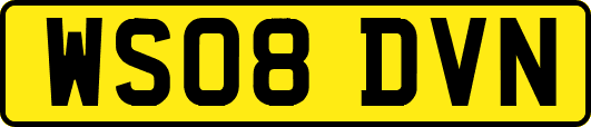 WS08DVN